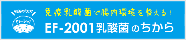 免疫乳酸菌で腸内環境を整える！EF-2001乳酸菌のちから